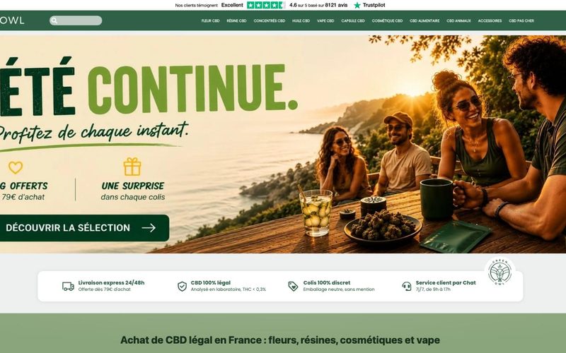 Capture d'écran du site Greenowl